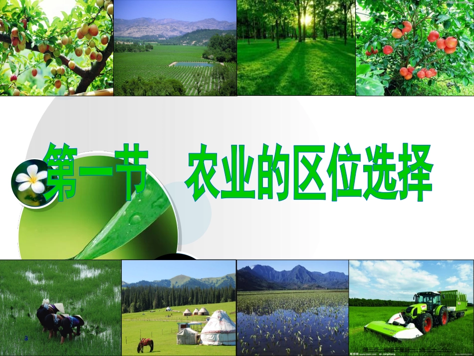 第三章第一节农业的区位选择党员示范课课件_第3页
