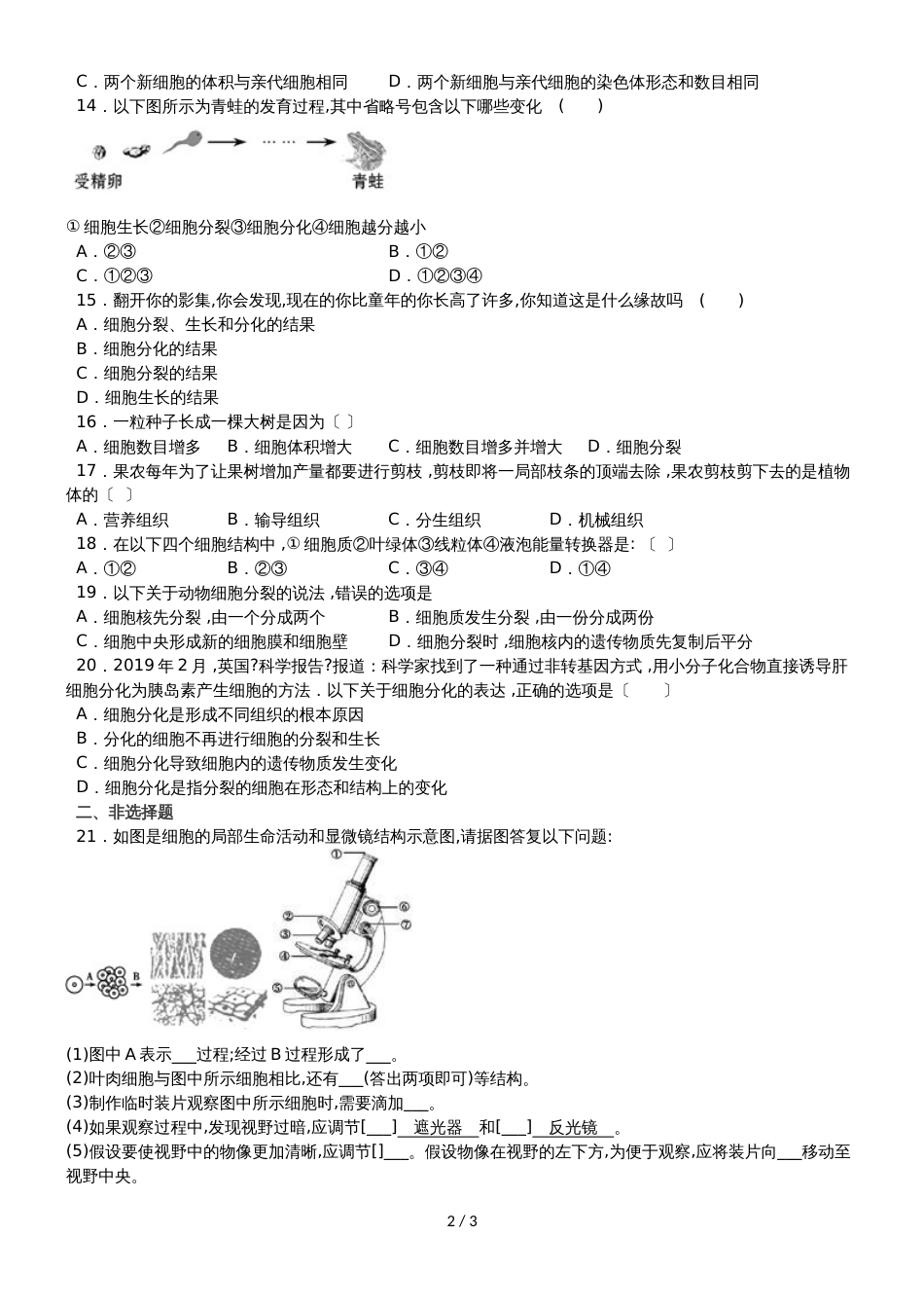 度山东省滕州市鲍沟中学七年级生物上册第二章：第2节：细胞的分裂与分化练习题（无答案）_第2页