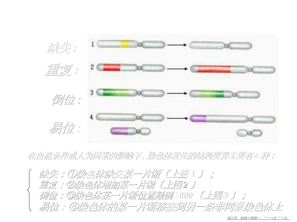 第五章 第二节 染色体变异(共47张PPT)_第3页