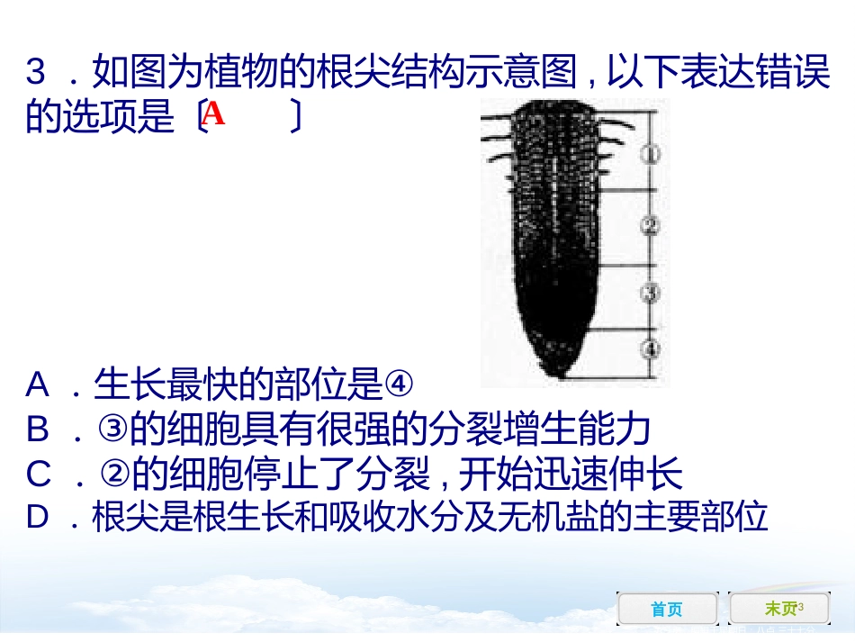 第三章 绿色植物与生物圈的水循环 第四章 绿色植物是生物圈中有机物的制造者 综合检测_第3页