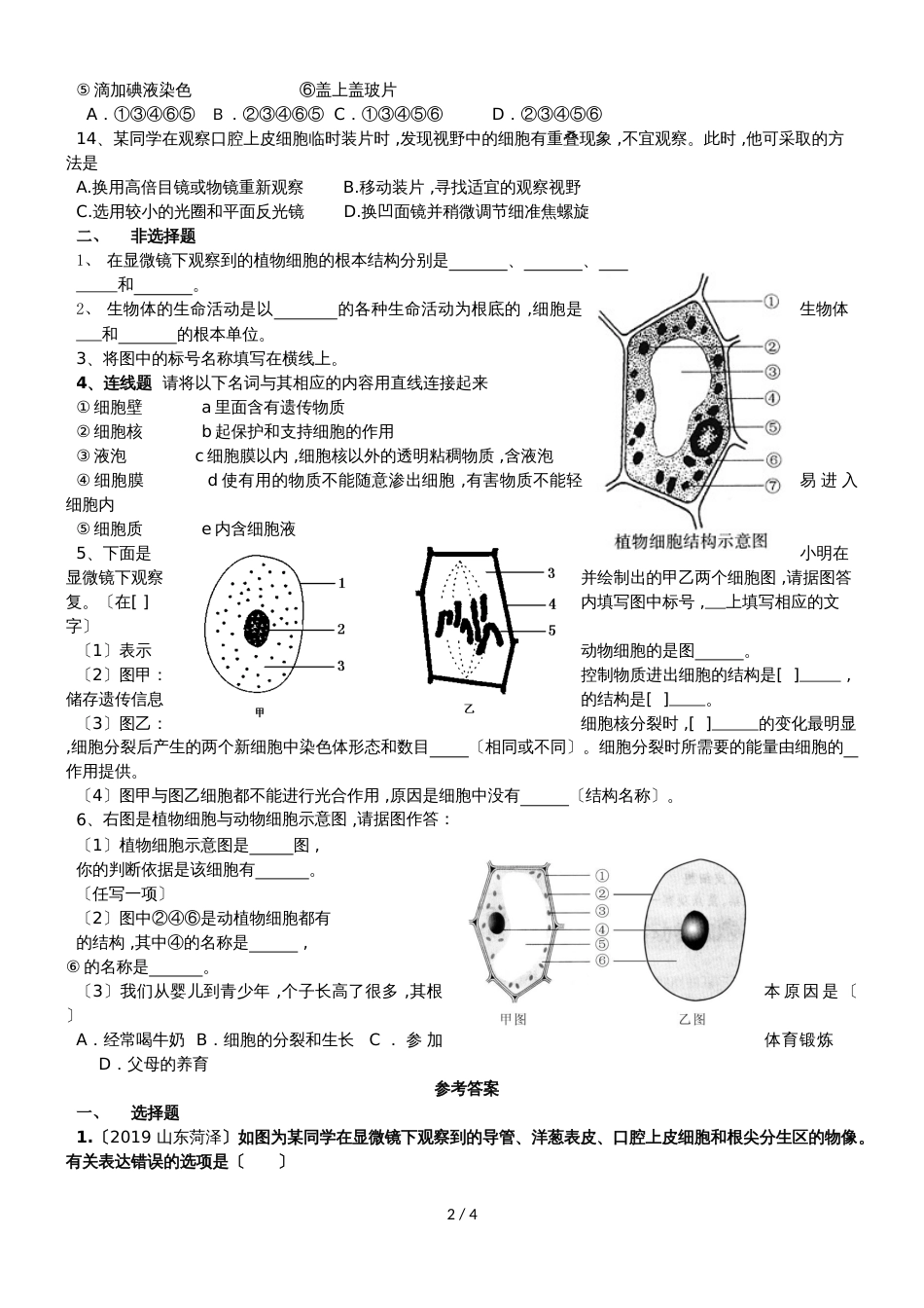 度生物七年级上苏教版2.3细胞怎样构成生物体练习及答案_第2页