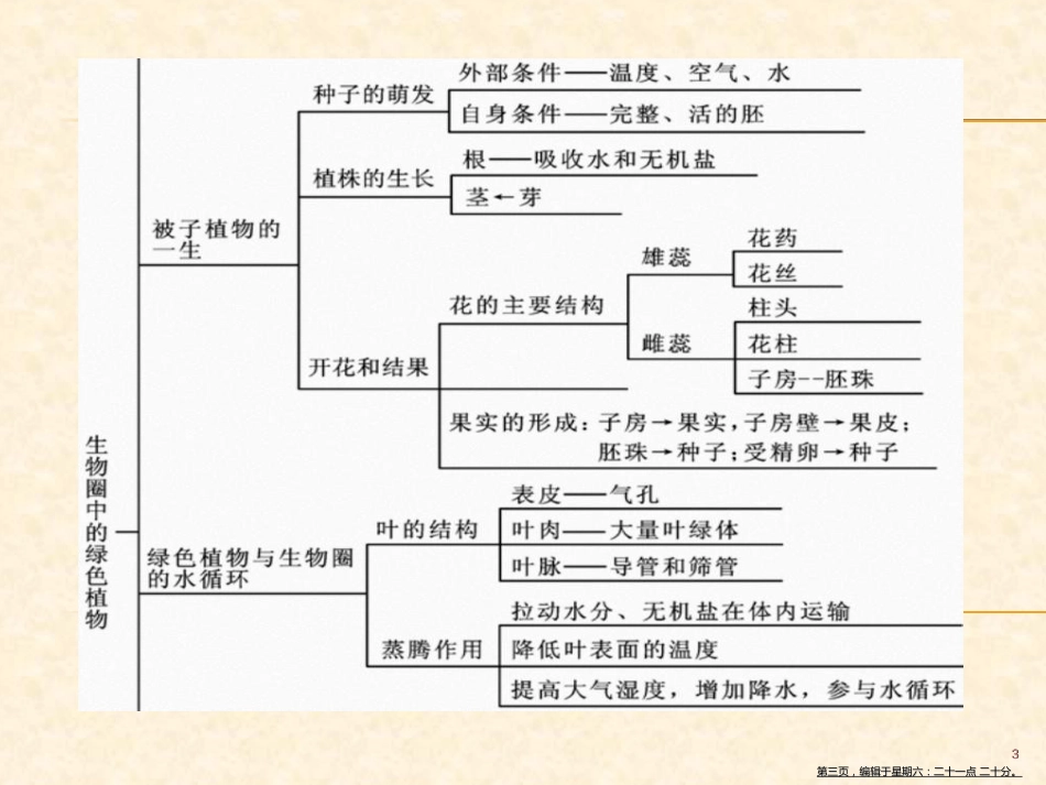 第三单元整理与复习 生物圈中的绿色食物_第3页