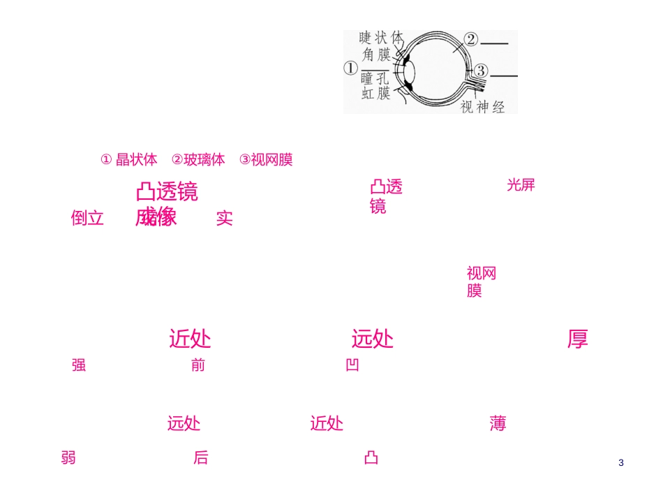 第四章　多彩的光第六节　神奇的眼睛第1课时　眼睛和眼镜_第3页