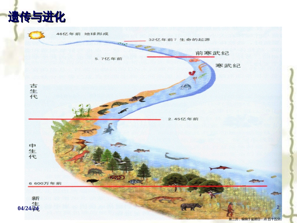 第十二章  群体遗传与进化 (共70张PPT)_第2页