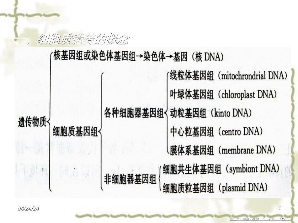 第十一章  细胞质遗传 (共117张PPT)_第3页