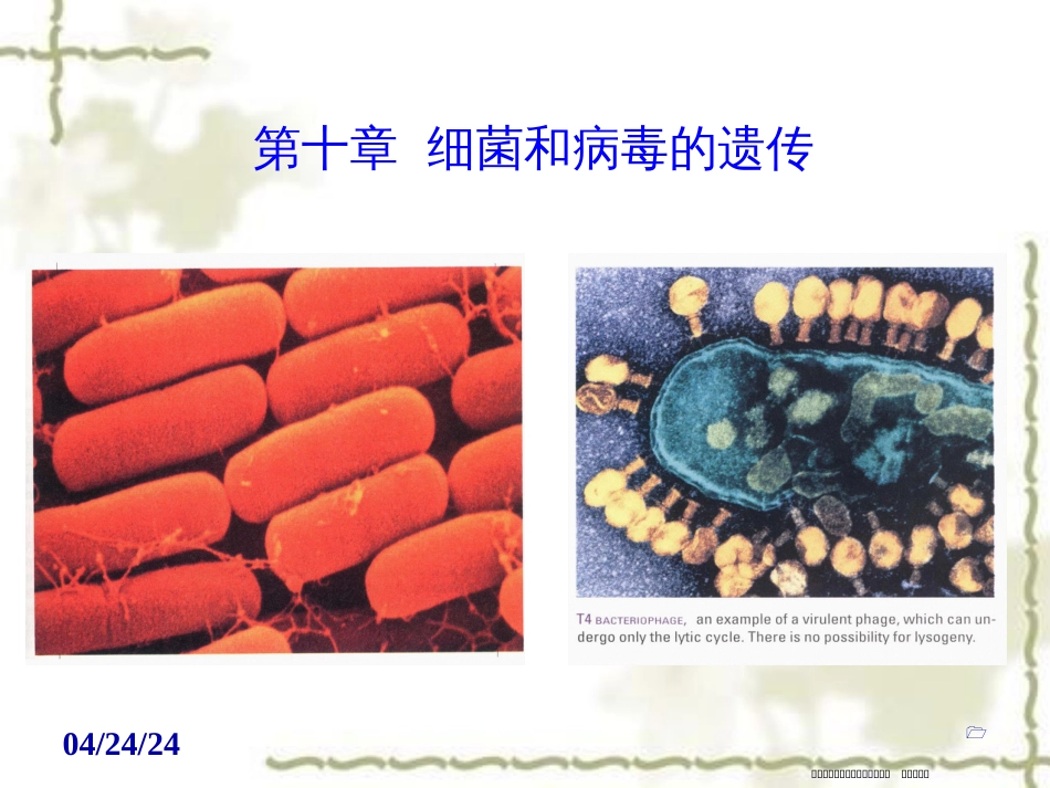 第十章  细菌和病毒的遗传 (共88张PPT)_第1页