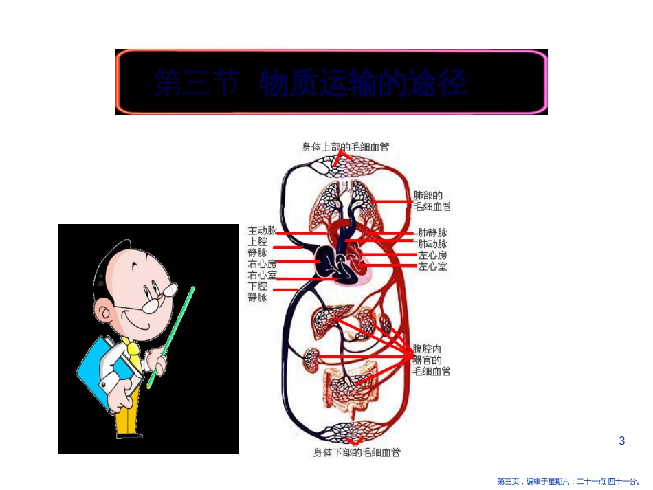 第三节《物质运输的途径》_第3页