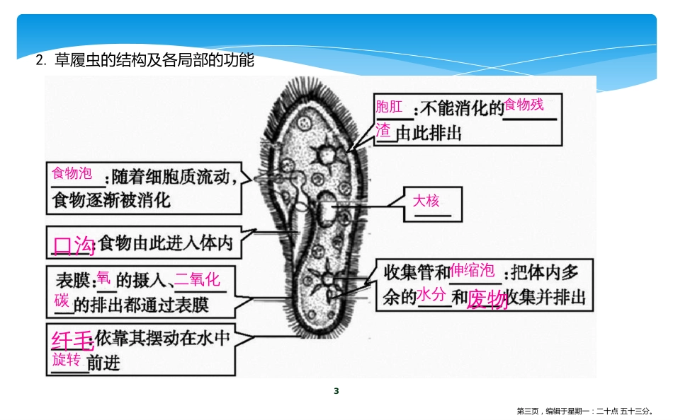 第四节　单细胞生物_第3页