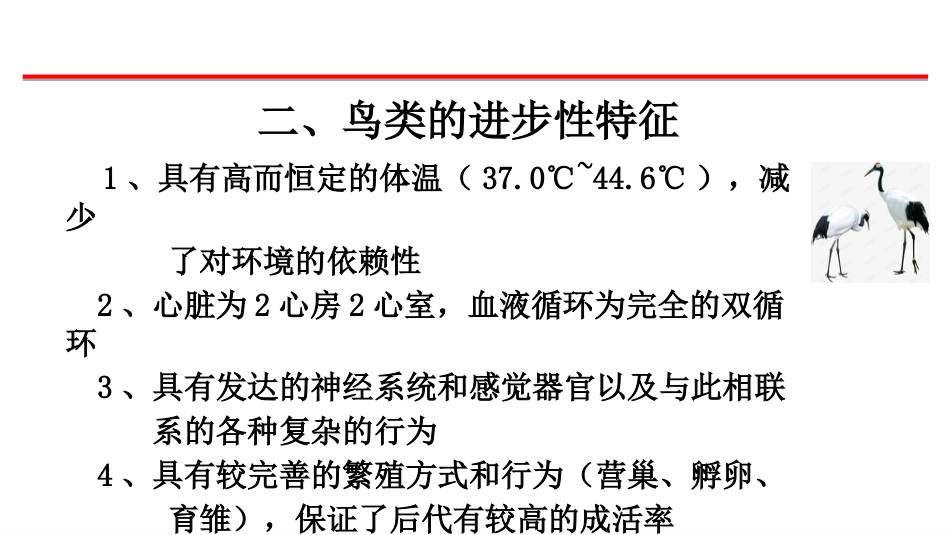 (4)--1鸟类的主要特征_第3页