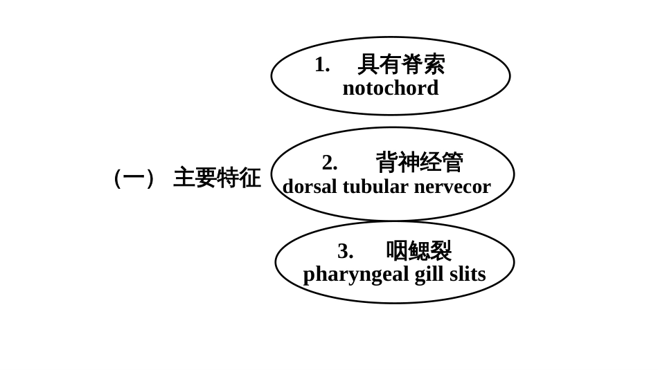 (6)--2尾索动物亚门脊椎动物学_第2页