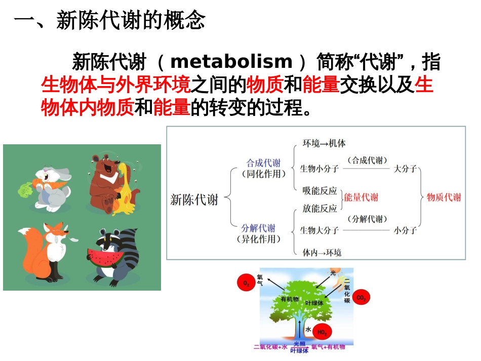 (7.2.1)--5.1 新陈代谢概论_第3页