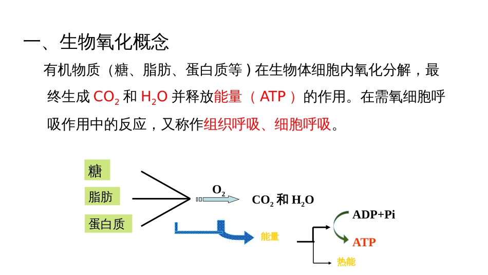 (7.2.2)--5.2 生物氧化概述_第3页