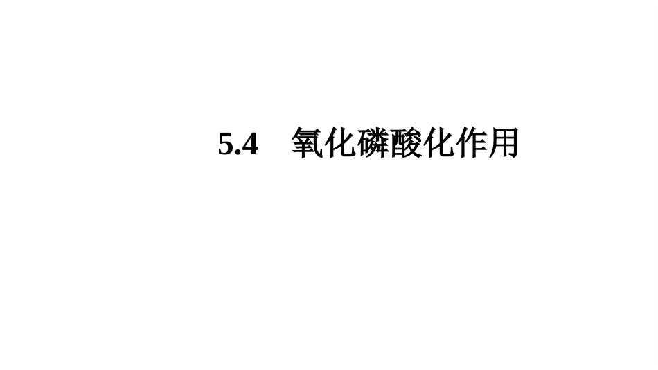 (7.2.4)--5.4 氧化磷酸化作用_第1页