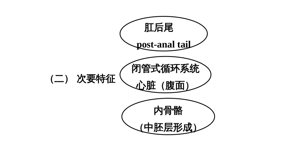 (8)--2尾索动物亚门脊椎动物学_第3页