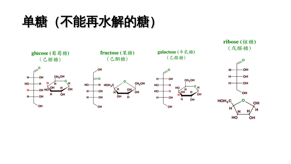 (8.2.1)--6.1双糖和多糖的酶促降解PPT_第3页