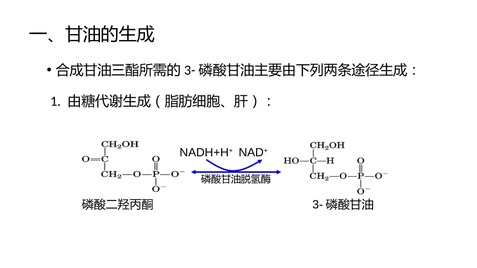 (9.2.3)--7.3脂肪的合成基础生物化学_第3页