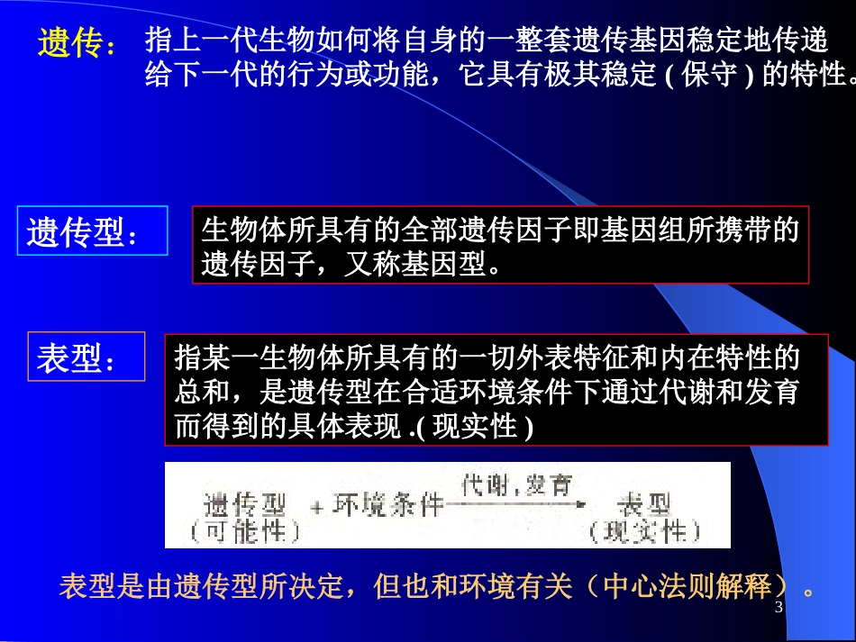 (11)--第七章 微生物的遗传变异和育种_第3页