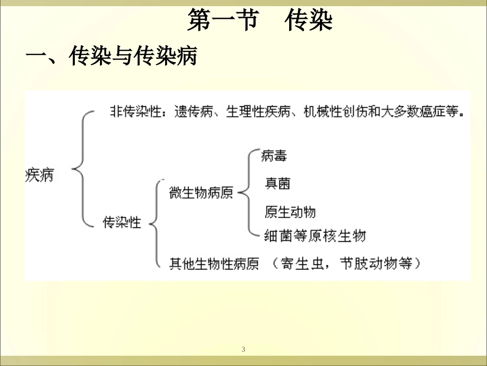 (13)--第九章 传染与免疫揭秘微观世界_第3页