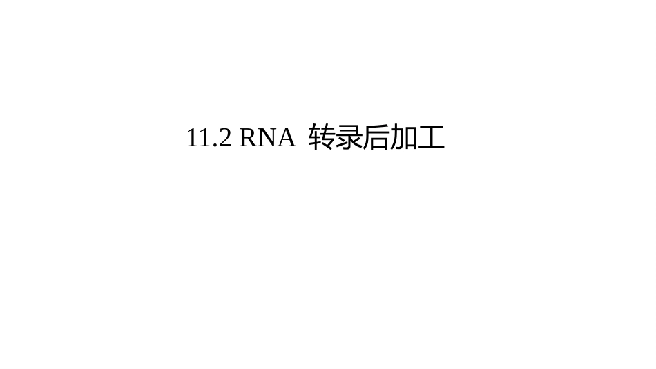 (13.2.2)--11.2 RNA转录后加工_第2页