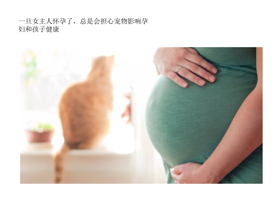 (14)--2-6宠物热与孕妇流产_第3页