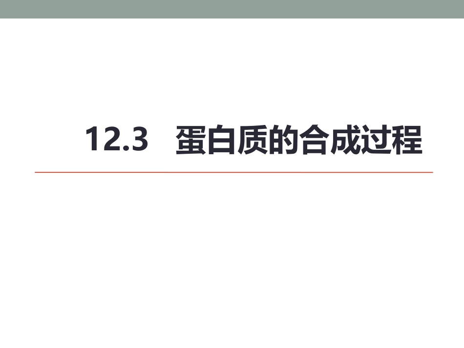 (14.2.3)--12.3蛋白质的合成过程_第1页