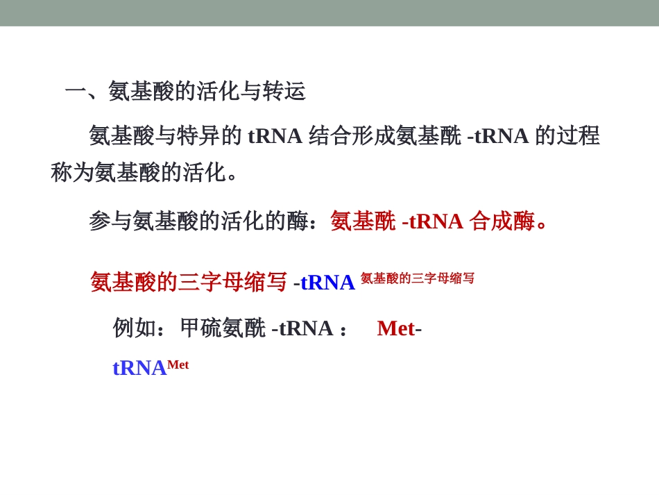 (14.2.3)--12.3蛋白质的合成过程_第3页