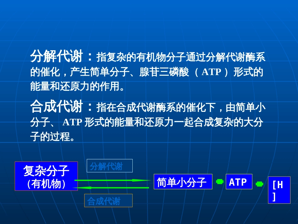 (15)--第五章 微生物的新陈代谢_第3页