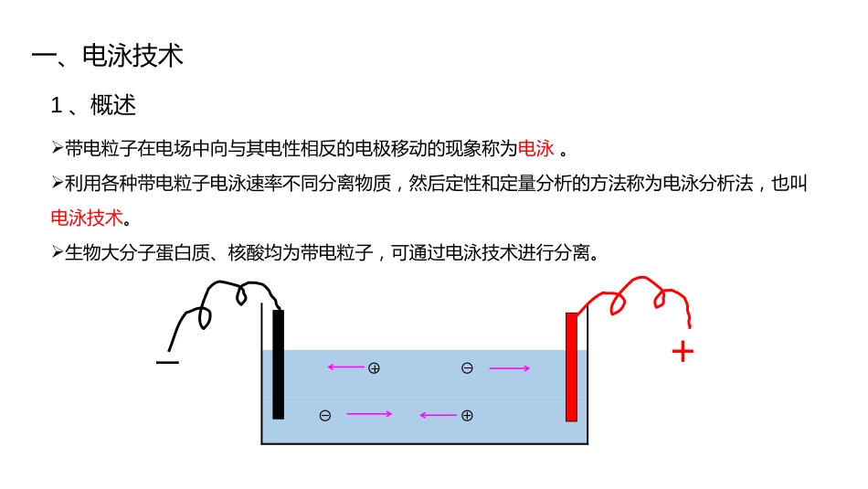 (16.2.3)--14.3过氧化物同工酶分析_第3页