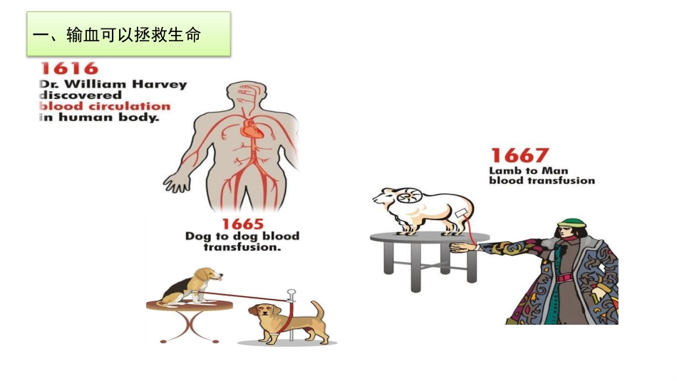 (18)--3-2免疫决定的输血_第3页