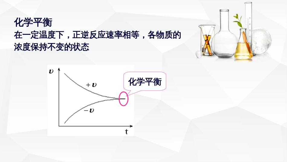 (21)--5.化学平衡及其特征_第3页