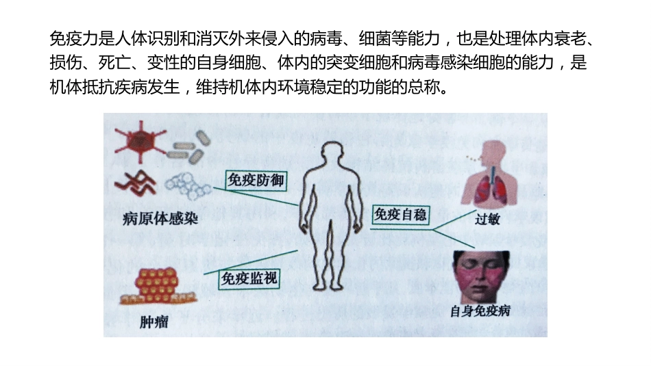 (31)--5-2抗体与人体免疫力_第2页