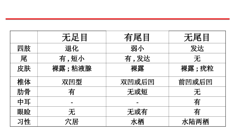 (31)--两栖纲分类脊椎动物学_第3页