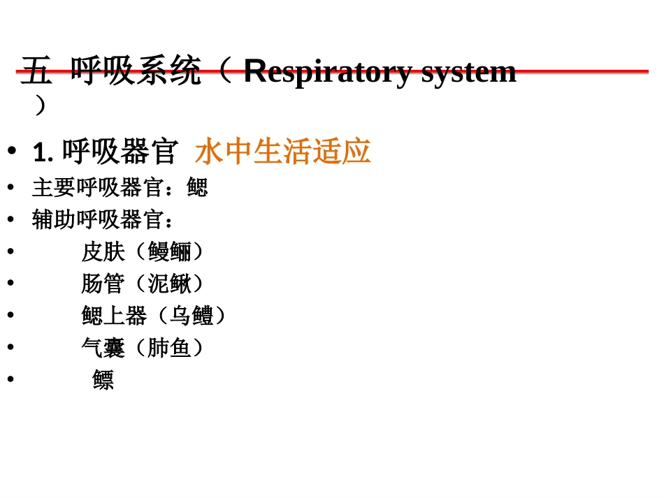 (33)--呼吸系统脊椎动物学_第1页