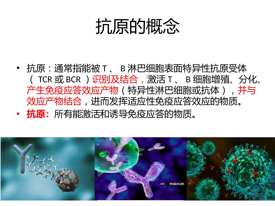 (36)--6-1抗原与疫苗健康与免疫_第2页