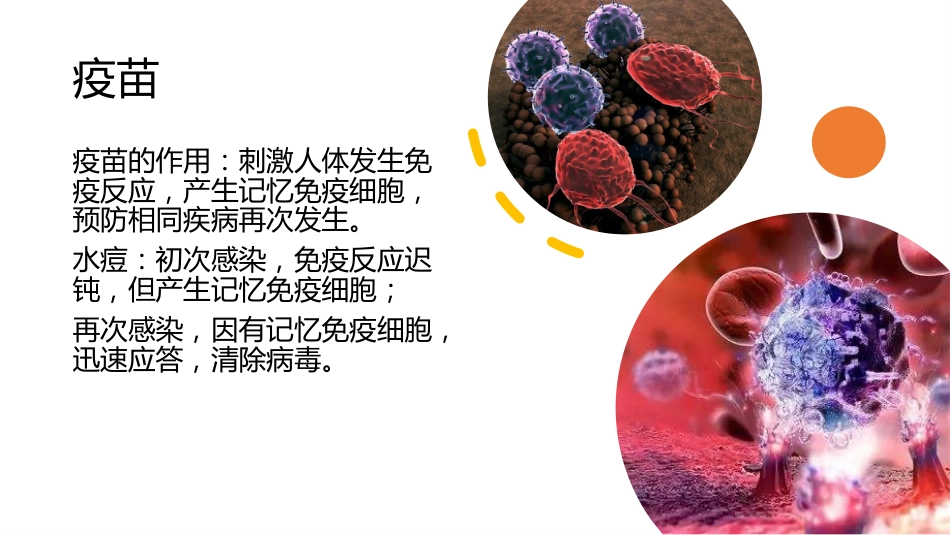 (37)--6-2癌症疫苗健康与免疫_第2页