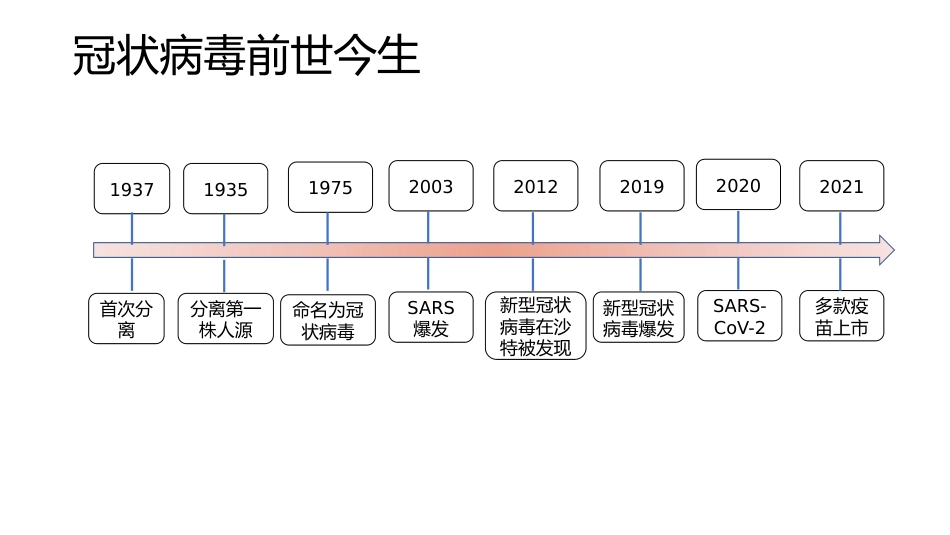 (41)--6-6冠状病毒的前世今生及新冠病毒疫苗大盘点_第3页