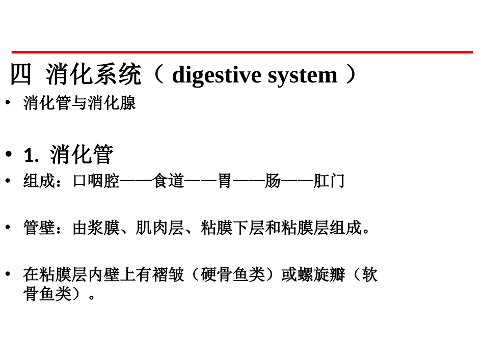 (48)--消化系统脊椎动物学_第1页