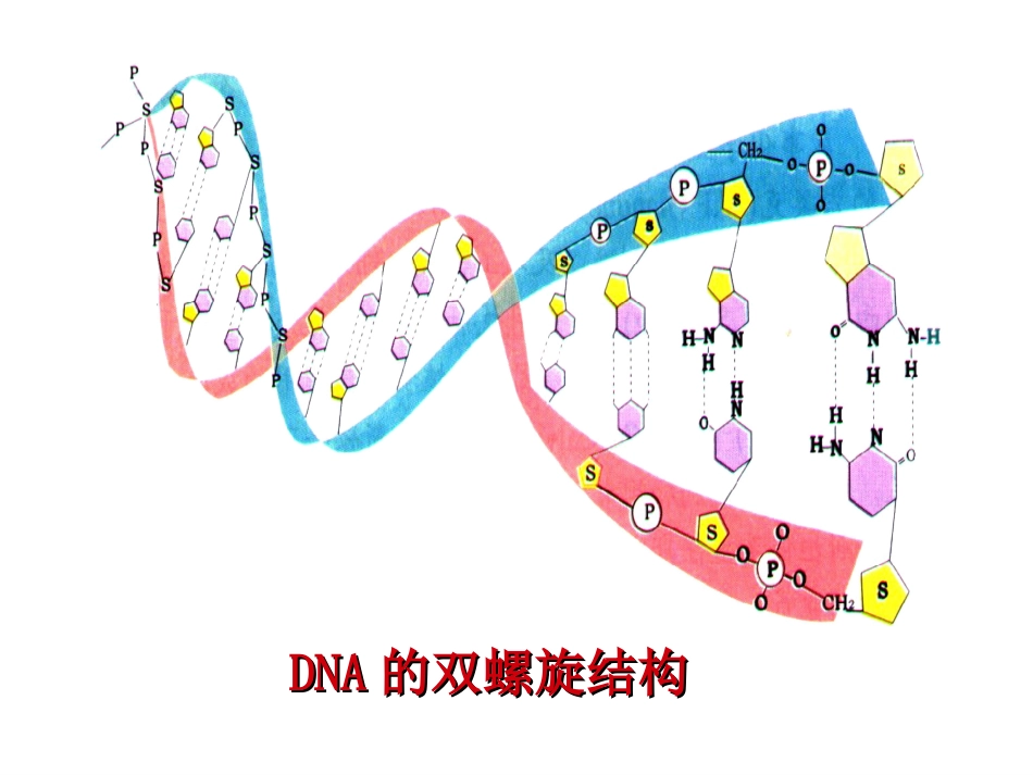 (52)--现代价键理论基础化学_第2页