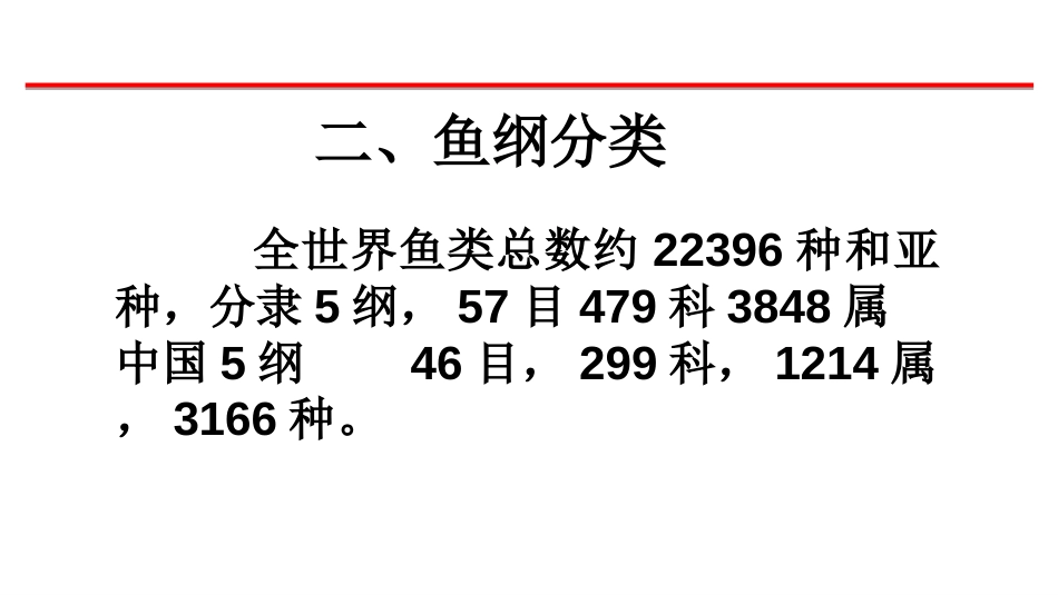 (65)--鱼纲分类脊椎动物学_第1页