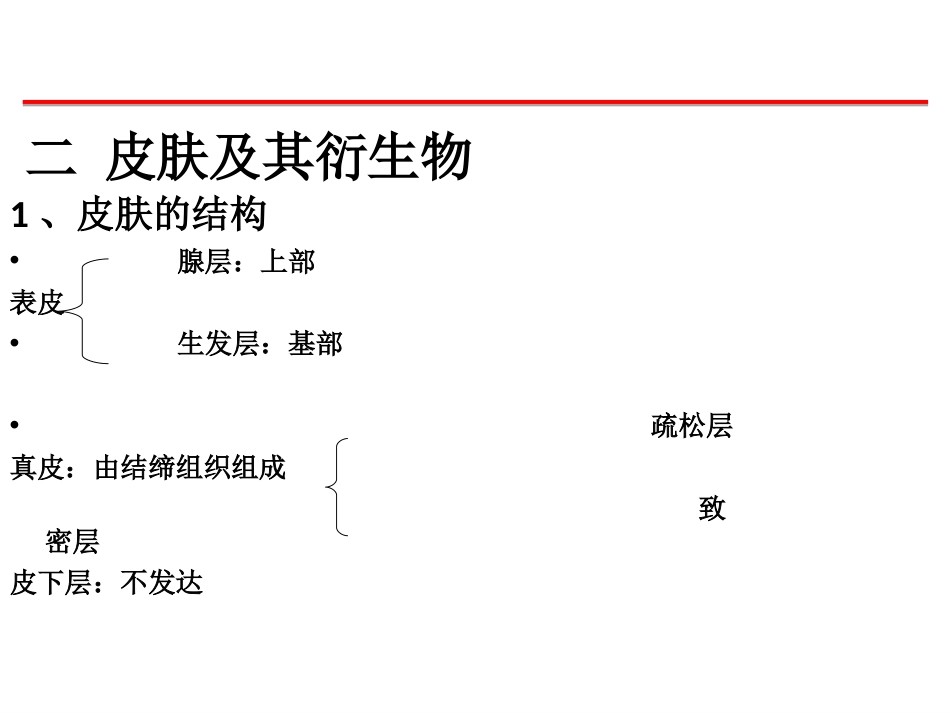 (67)--鱼纲皮肤脊椎动物学_第1页