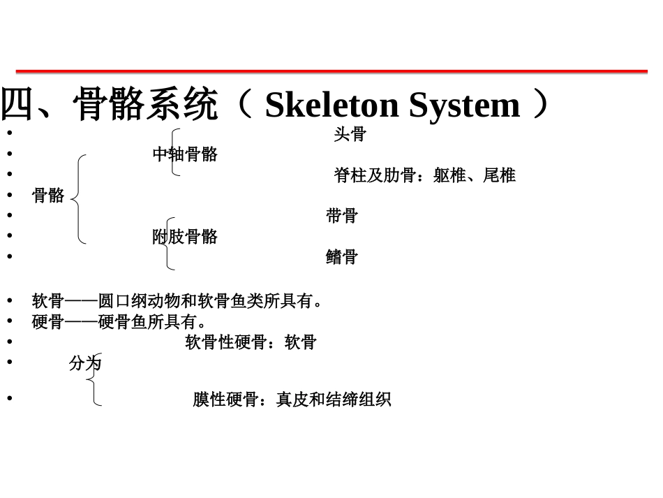 (70)--鱼纲骨骼脊椎动物学_第2页