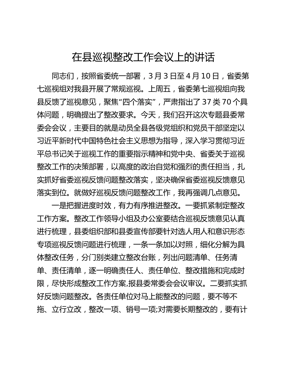 在县巡视整改工作会议上的讲话2024-2025_第1页