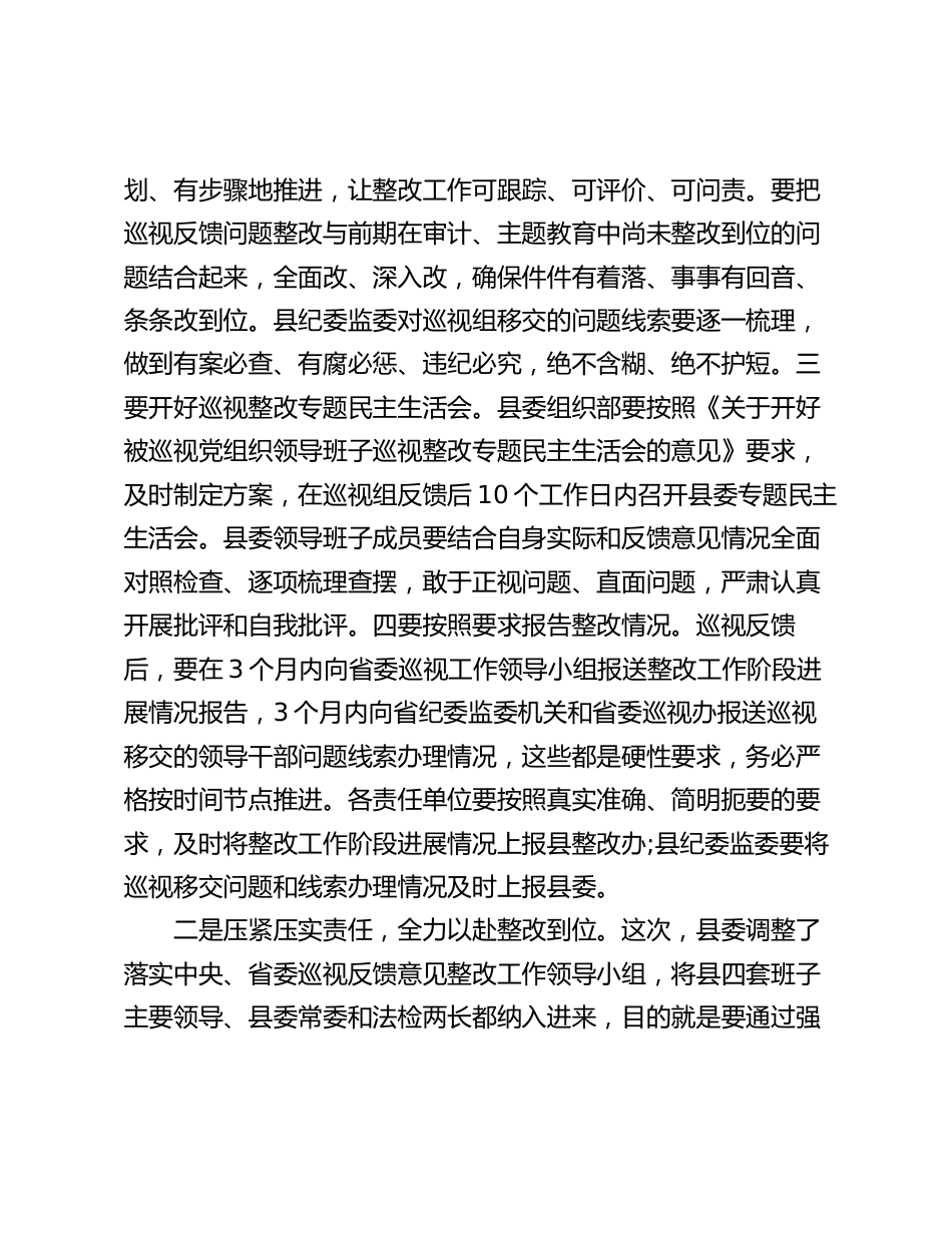 在县巡视整改工作会议上的讲话2024-2025_第2页