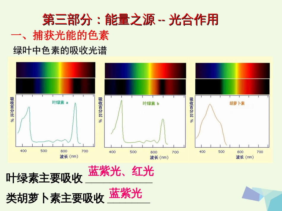 陕西省西安市2017届高考生物 细胞代谢专题 第三部分 能量之源光合作用复习课件_第1页