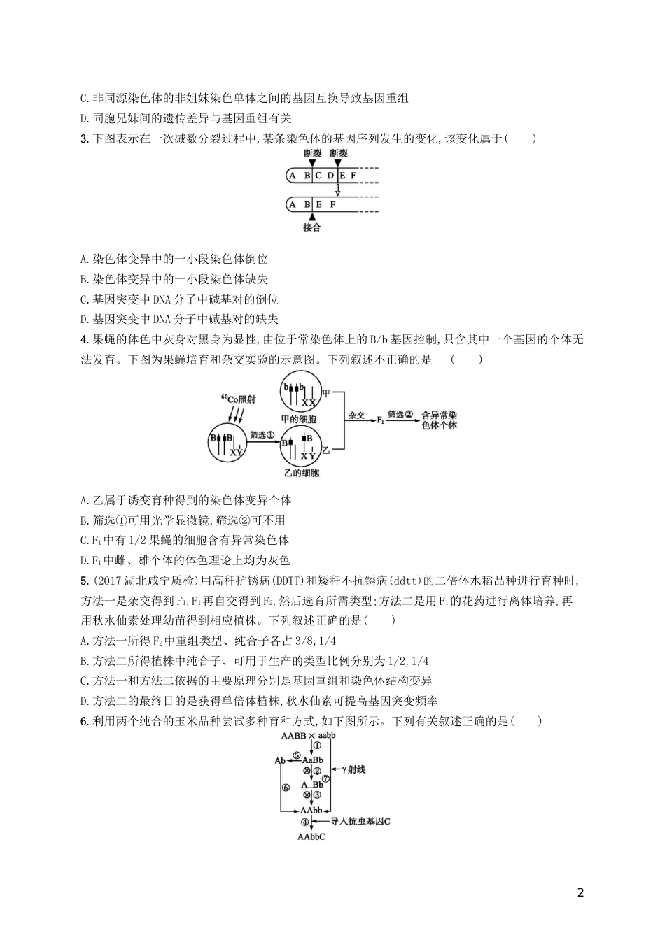 高三生物二轮复习专题能力训练九专题四遗传变异和进化专题训练新人教_第2页