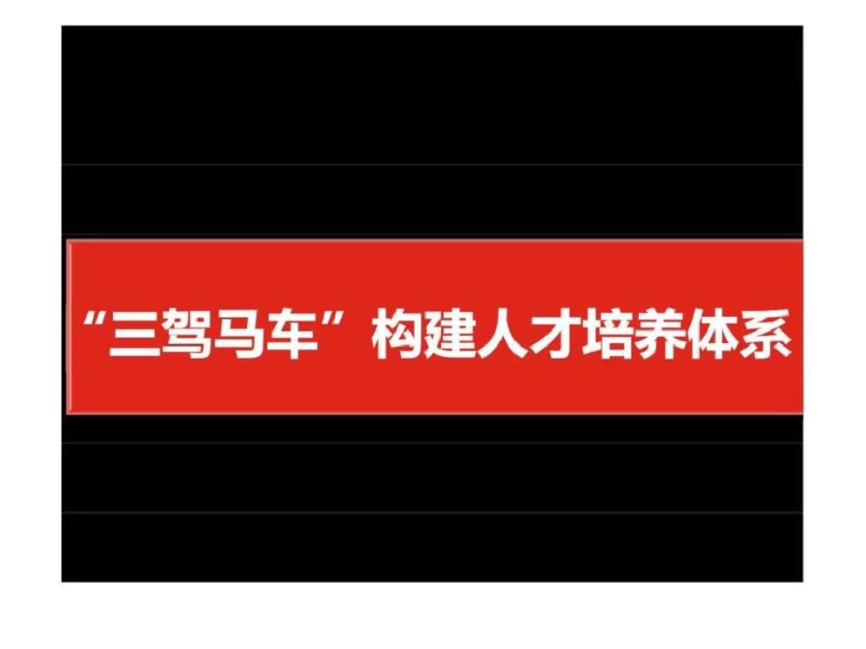 “三驾马车”构建人才培养体系文档资料_第1页