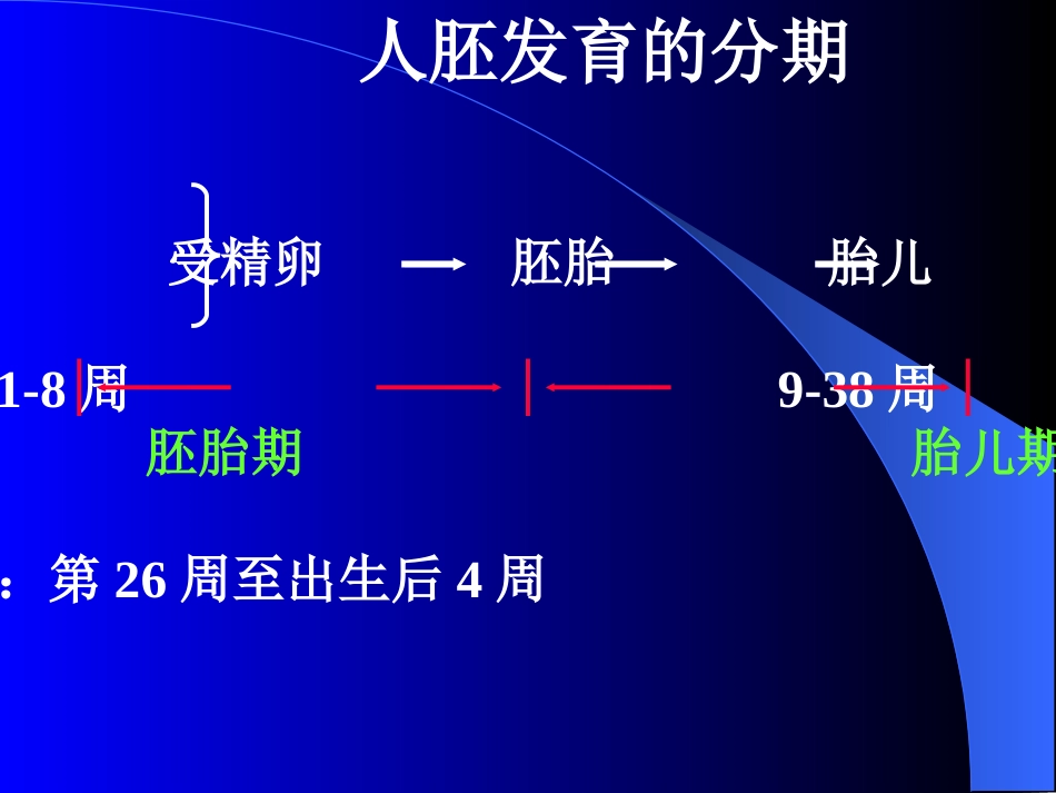 15人体胚胎学总论_第2页