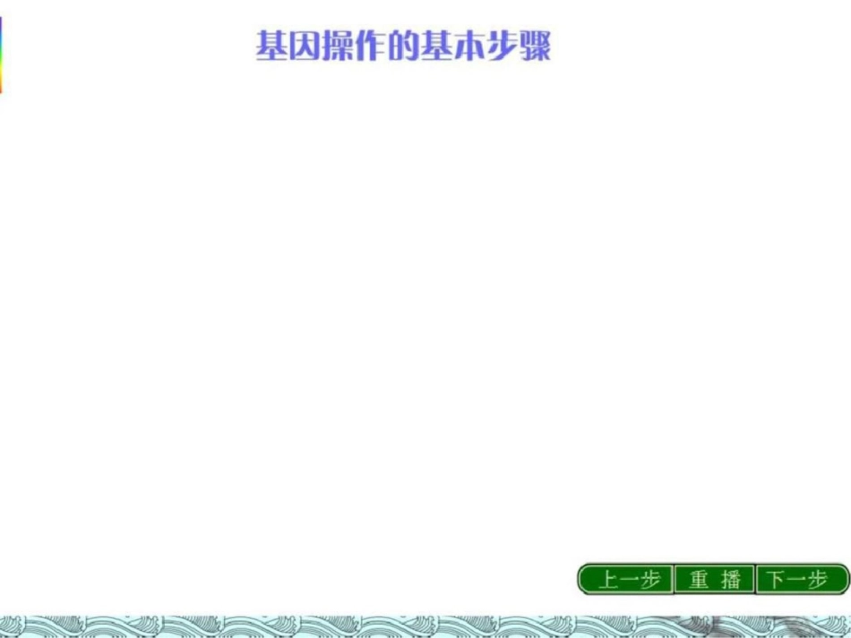 《基因工程的基本操作程序》精品课件文档资料_第1页