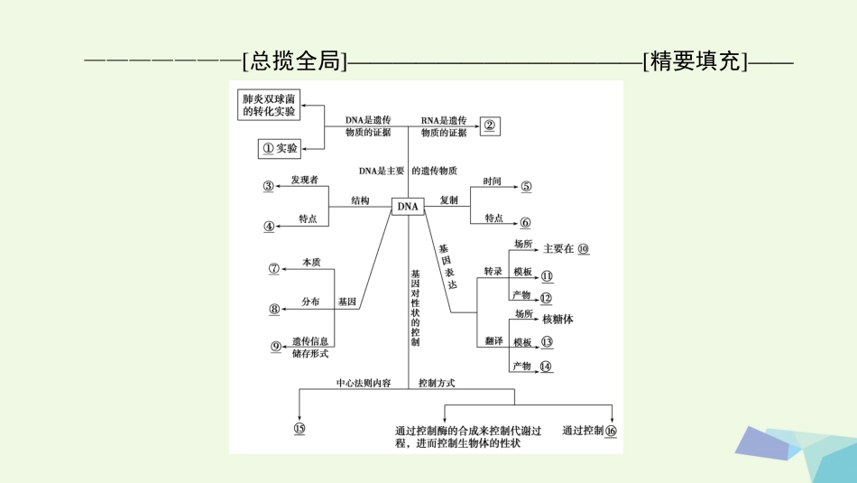 高三生物一轮复习 第6单元 单元高效整合课件 新人教版必修_第2页