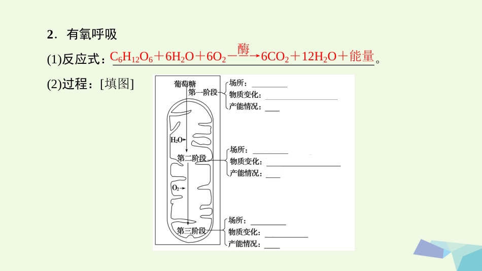 高三生物一轮复习 第3单元 细胞呼吸课件 新人教版必修_第3页